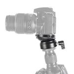 Base de réglage horizontal universelle BENXIN DY-60N pour appareils photo reflex panoramiques, base hémisphérique, 1/4 pouce