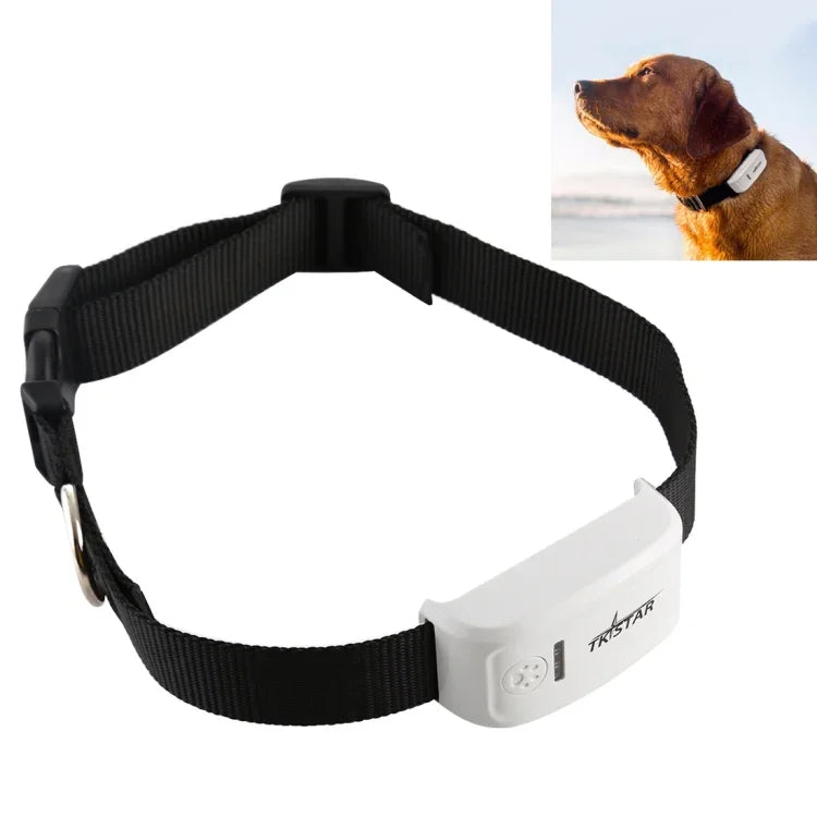 Traceur GPS / GPRS / GSM pour Animaux de Compagnie TK-909, Collier de Suivi en Temps Réel, TK-909