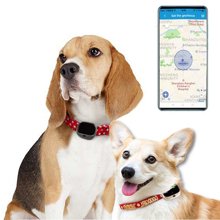 RF-V43 Style A Localisateur d'animaux étanche IP67 GPS + LBS + WiFi Collier de suivi pour animaux pour Asie/Europe/Afrique/Australie, RF-V43 Style A (Blanc), RF-V43 Style A (Noir)