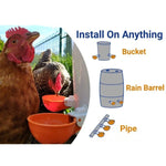 Automatic Chicken Waterer Cups Chicken Water Feeder Random Color - Trustpick